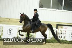 24BUCK_05480 proof