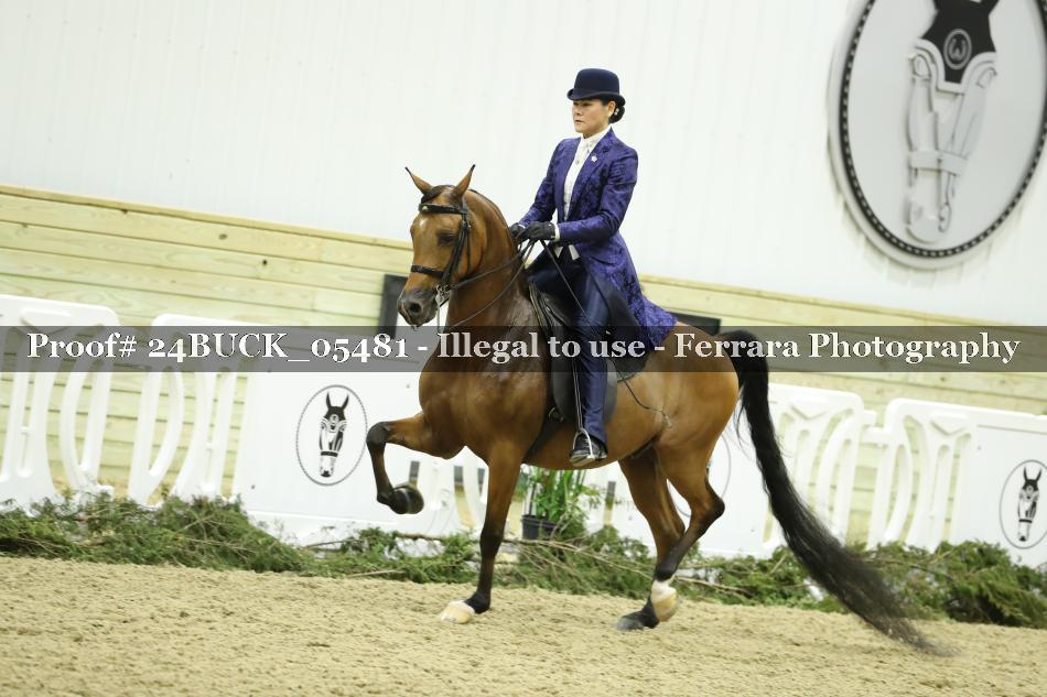 Proof 24BUCK_05481