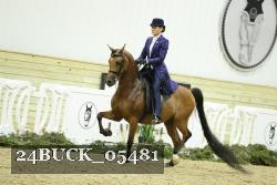 24BUCK_05481 proof