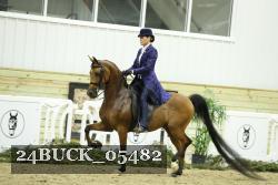 24BUCK_05482 proof
