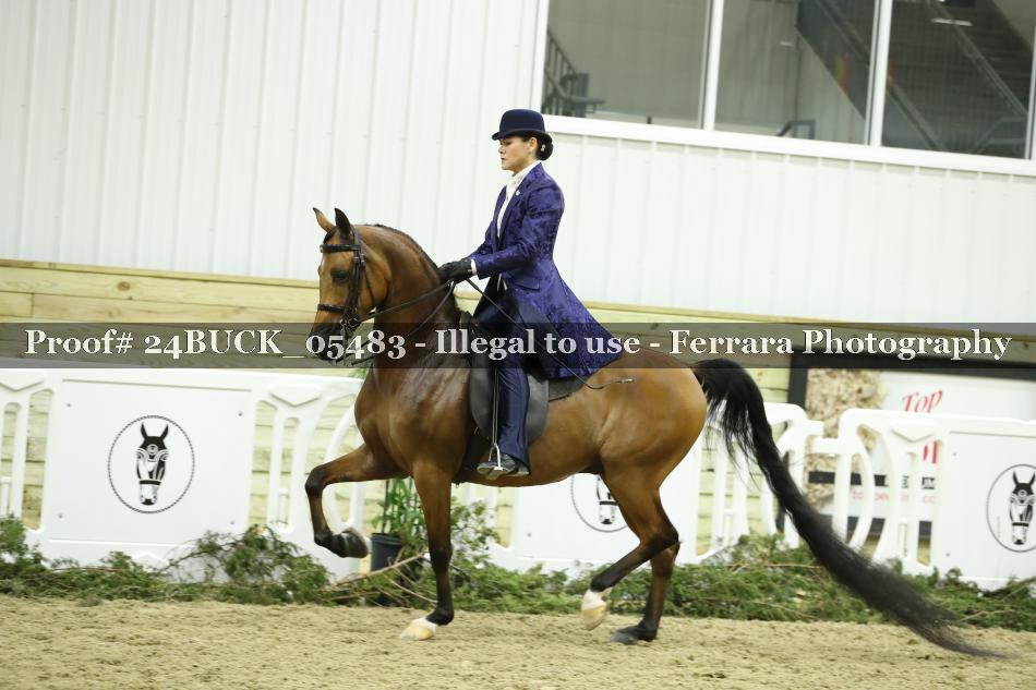 Proof 24BUCK_05483