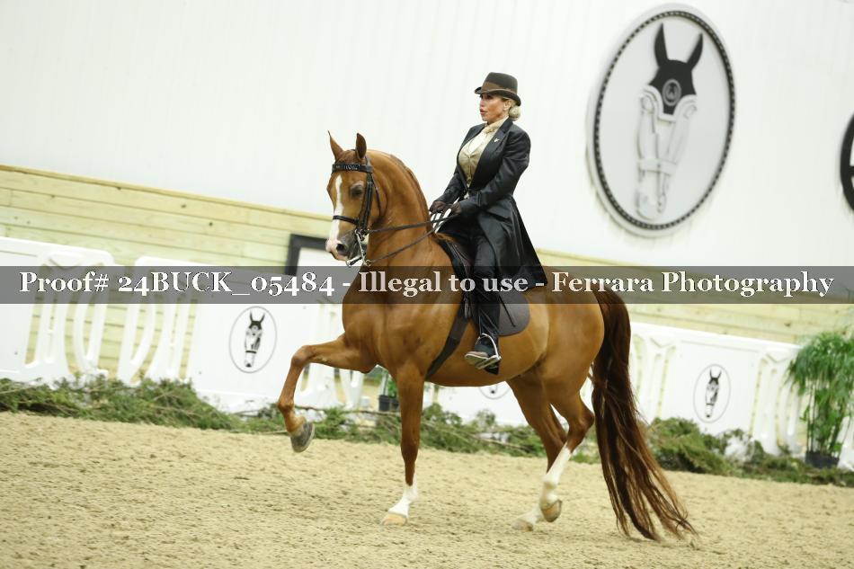 Proof 24BUCK_05484