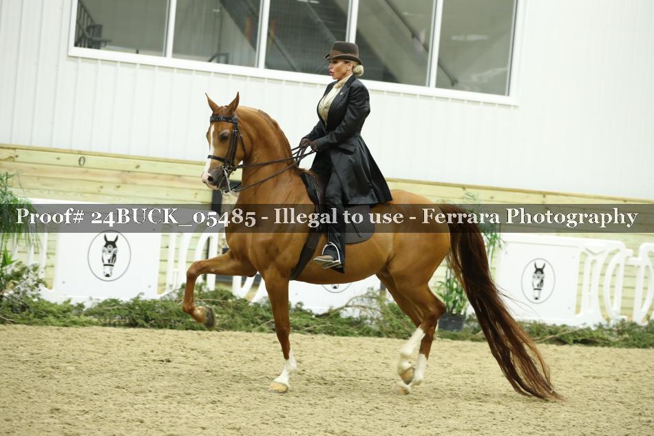 Proof 24BUCK_05485