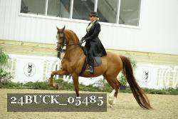 24BUCK_05485 proof