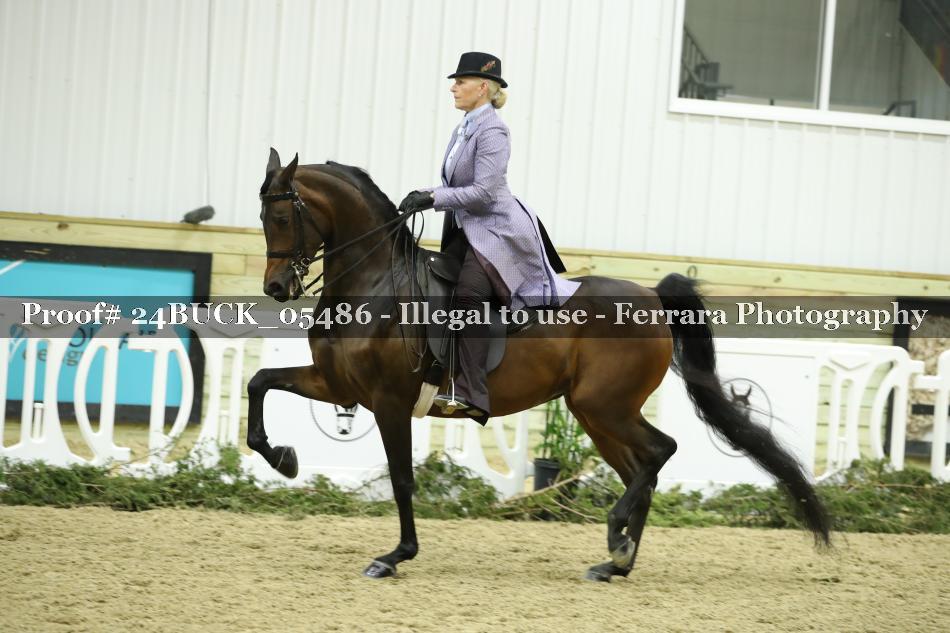 Proof 24BUCK_05486