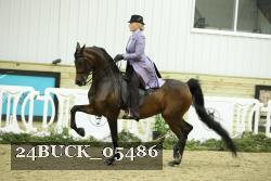 24BUCK_05486 proof