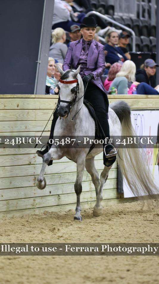 Proof 24BUCK_05487