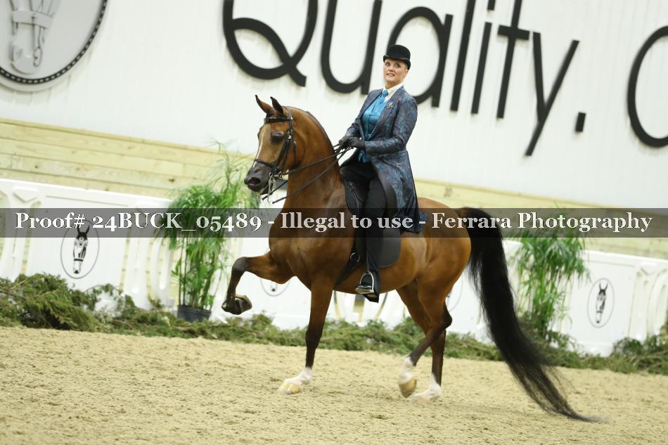 Proof 24BUCK_05489