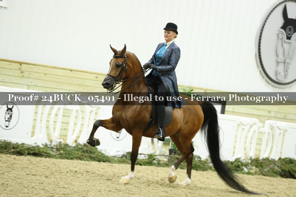 Proof 24BUCK_05491