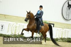 24BUCK_05491 proof