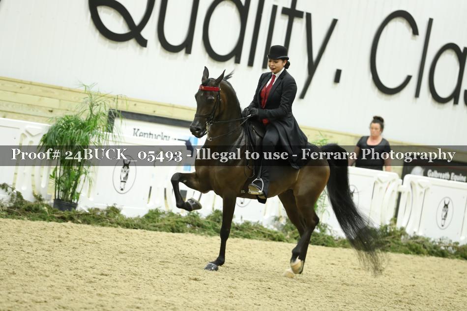 Proof 24BUCK_05493