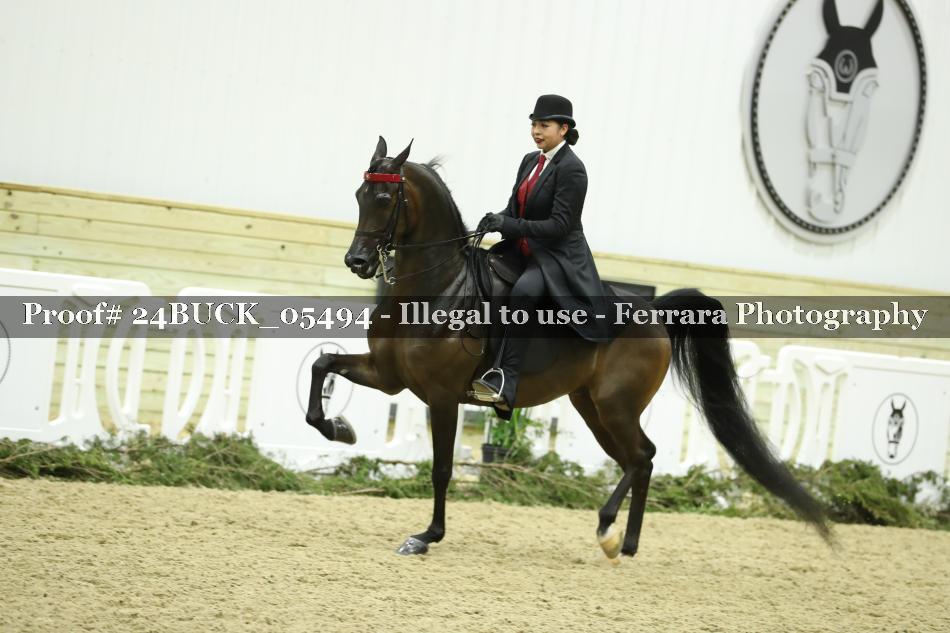 Proof 24BUCK_05494