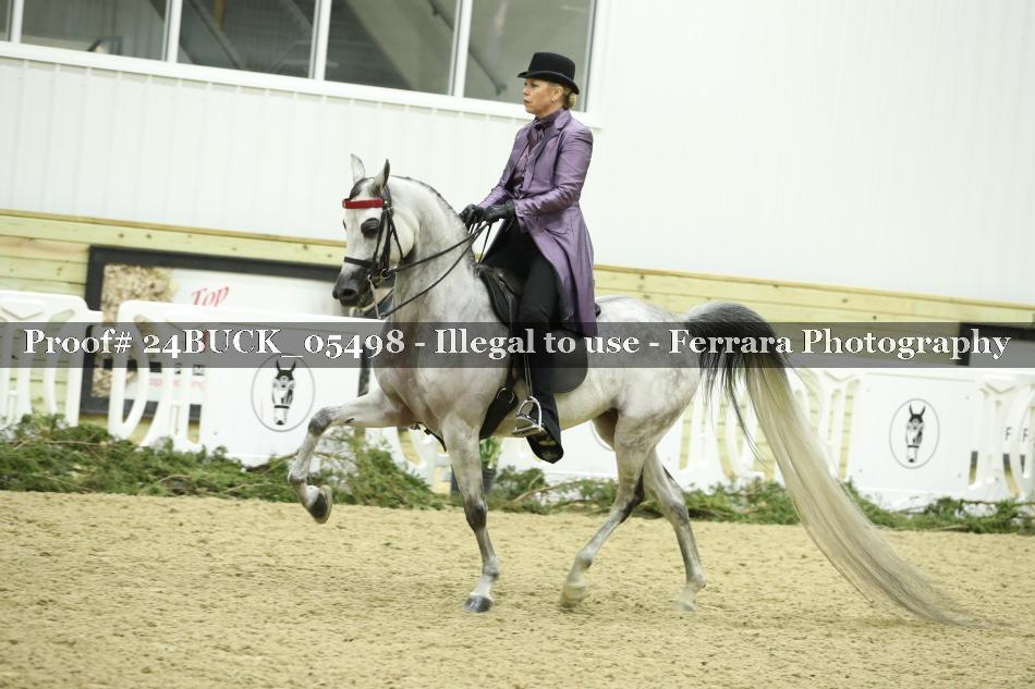 Proof 24BUCK_05498