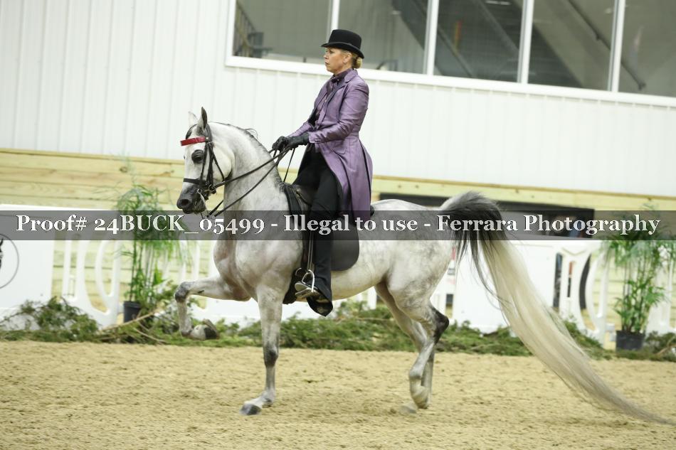 Proof 24BUCK_05499