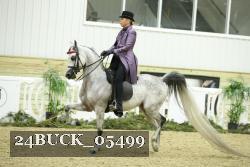 24BUCK_05499 proof