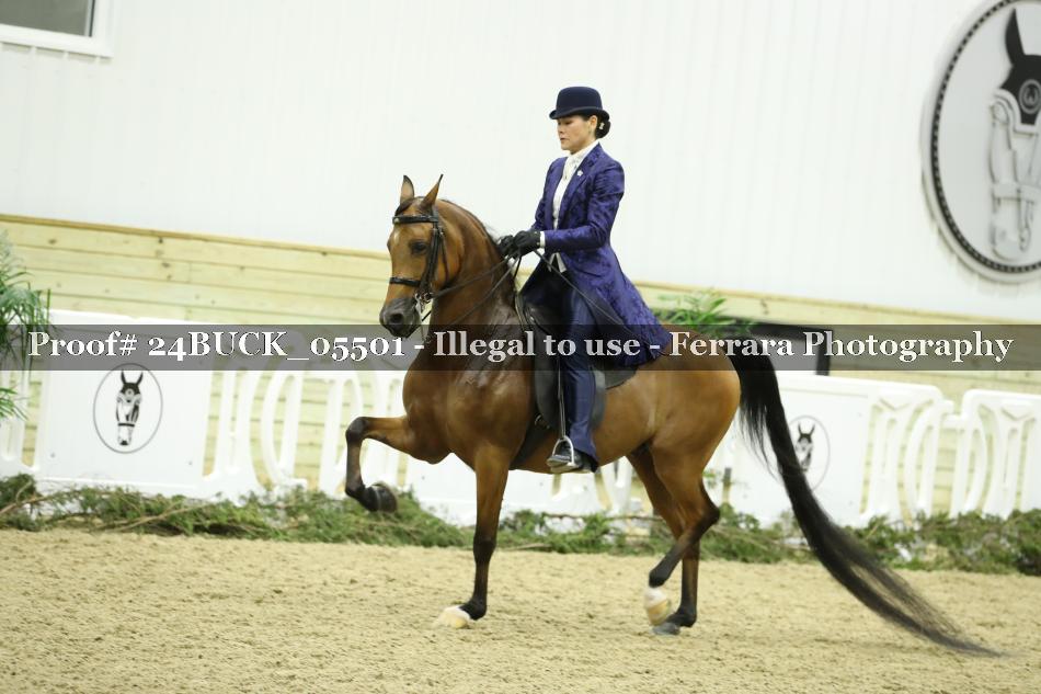 Proof 24BUCK_05501