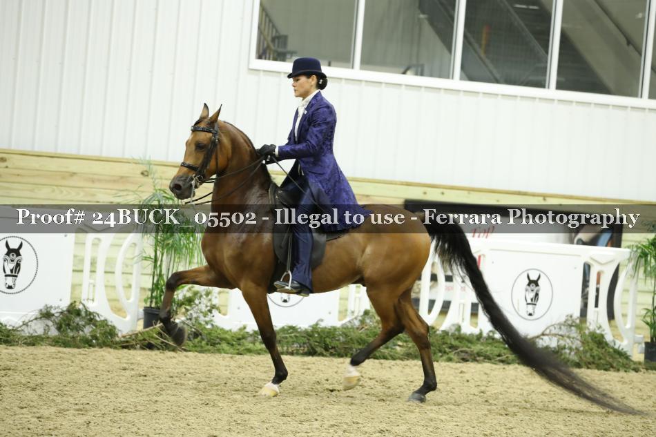Proof 24BUCK_05502