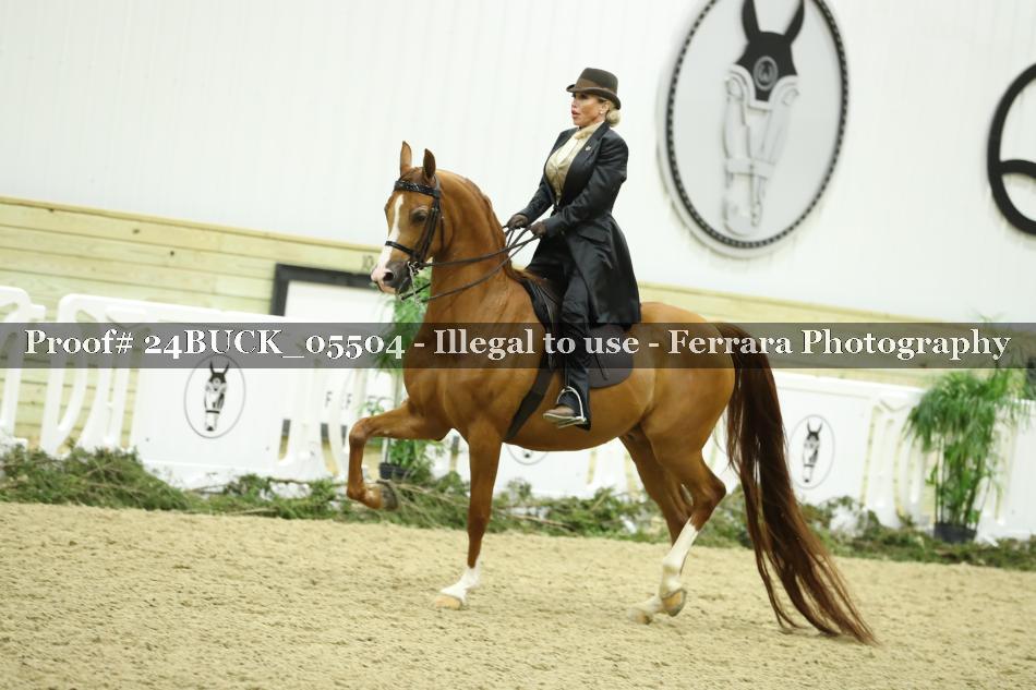 Proof 24BUCK_05504