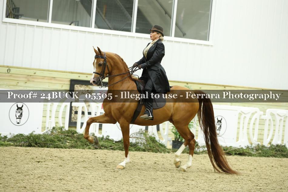Proof 24BUCK_05505