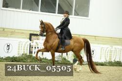 24BUCK_05505 proof