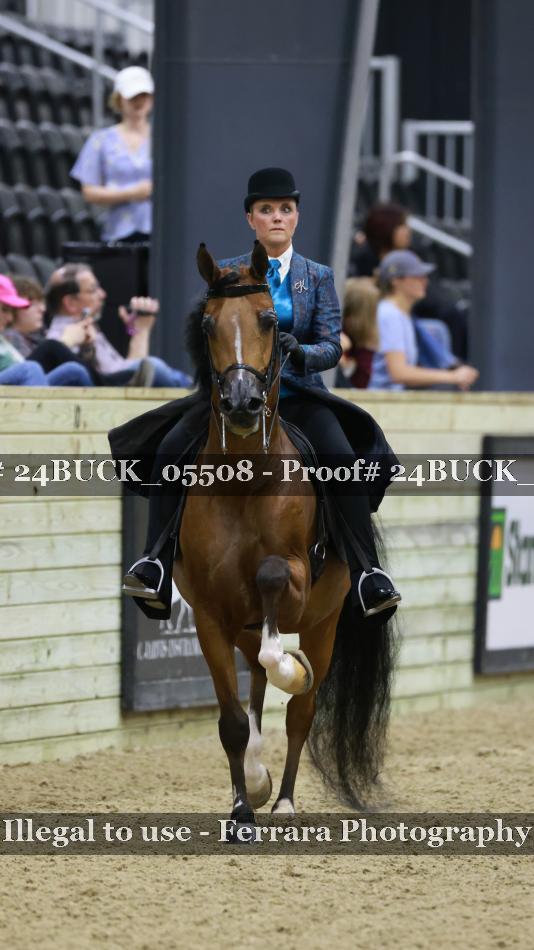 Proof 24BUCK_05508