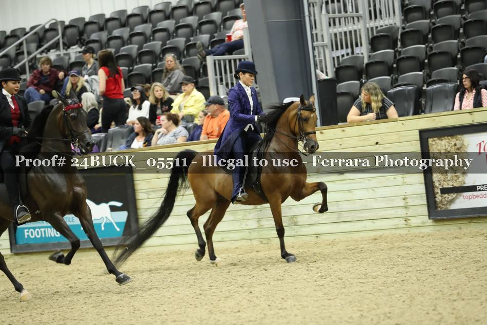 Proof 24BUCK_05511