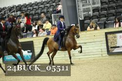 24BUCK_05511 proof