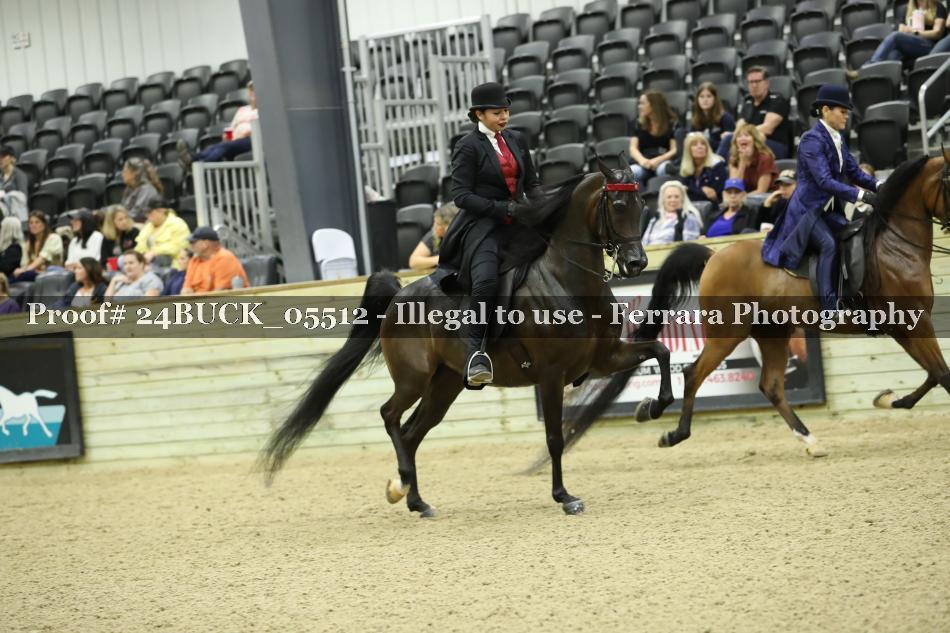 Proof 24BUCK_05512