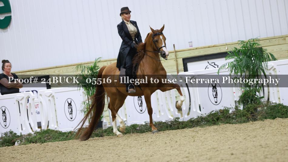 Proof 24BUCK_05516