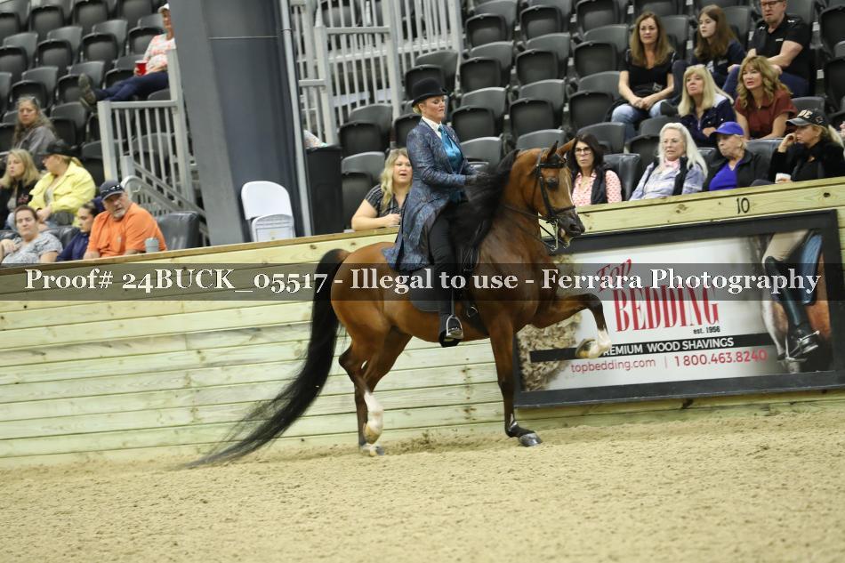 Proof 24BUCK_05517