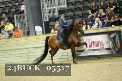 24BUCK_05517 proof