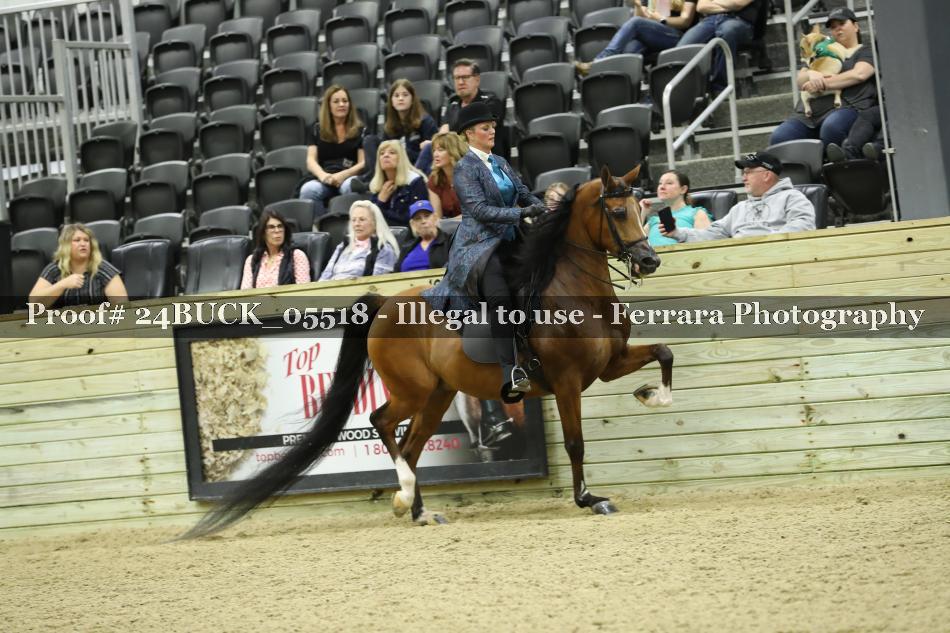 Proof 24BUCK_05518