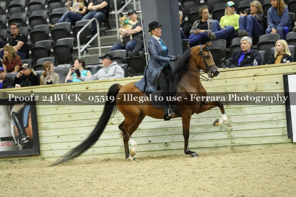 Proof 24BUCK_05519