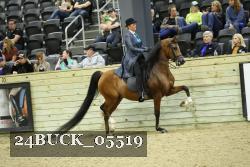 24BUCK_05519 proof