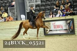 24BUCK_05521 proof