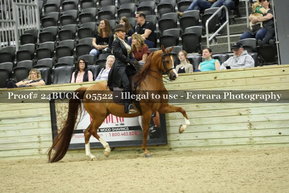 Proof 24BUCK_05522