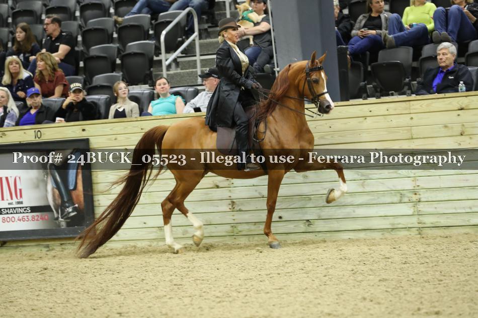 Proof 24BUCK_05523
