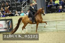 24BUCK_05523 proof