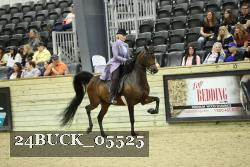 24BUCK_05525 proof