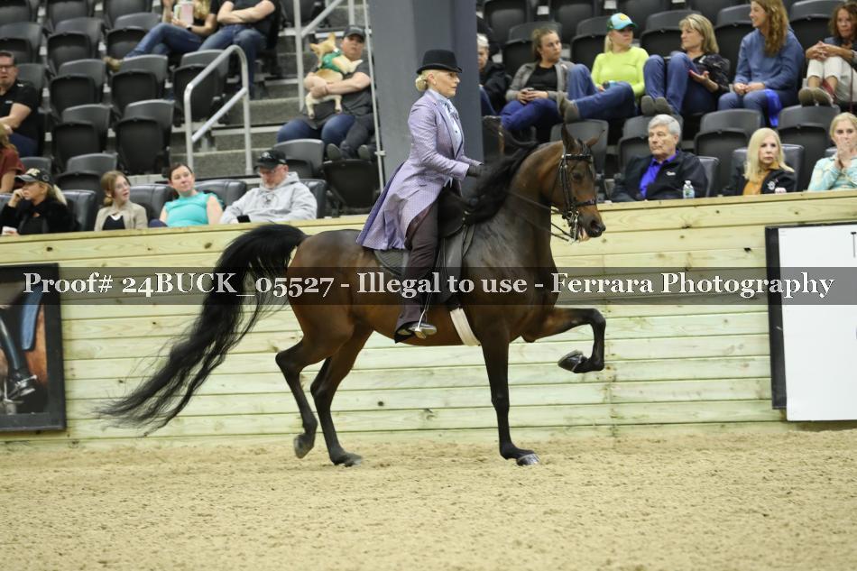Proof 24BUCK_05527