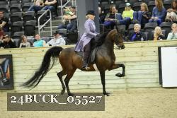 24BUCK_05527 proof