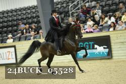24BUCK_05528 proof