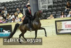 24BUCK_05529 proof