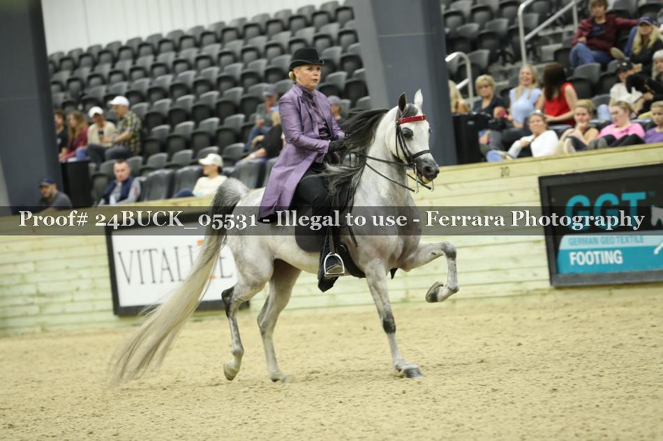 Proof 24BUCK_05531