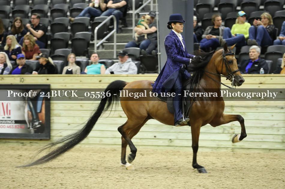 Proof 24BUCK_05536