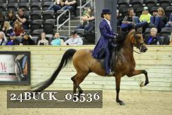 24BUCK_05536 proof