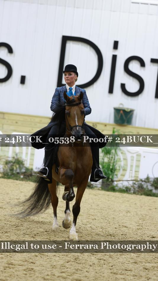 Proof 24BUCK_05538