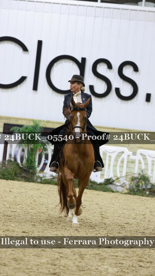 Proof 24BUCK_05540