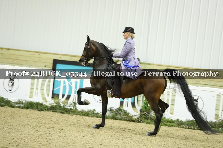 Proof 24BUCK_05544