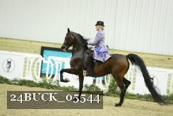 24BUCK_05544 proof